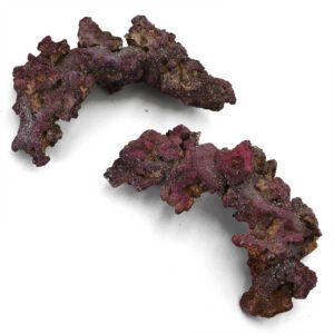 LIFE ROCK ARCHES (12 INCH) 4 PK 20 LBS (9 KG)