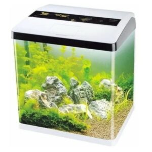 ACUARIO SOBO